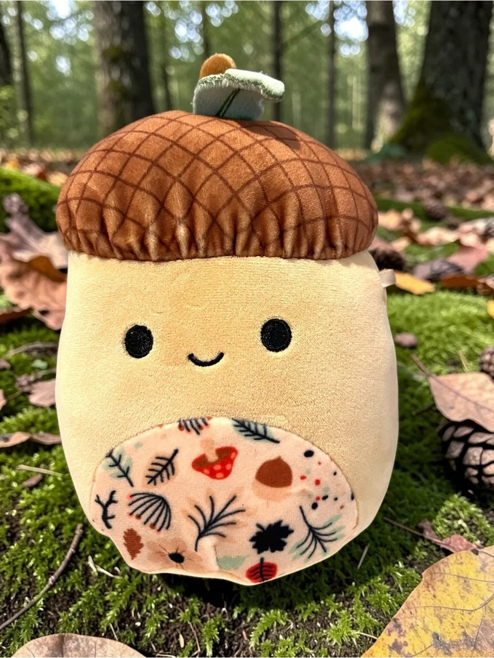 Squishmallows Woodland Lot 3 Mac Acorn Jason Donkey Hans Hedgehog NWT Plush 5”